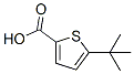 M0213 5-叔丁基噻吩-2-甲酸