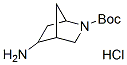 M1205 5-氨基-2-氮杂双环[2.2.1]庚烷-2-甲酸叔丁酯盐酸盐